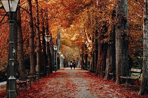 Ottawa Fall Activities